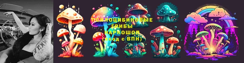 Псилоцибиновые грибы MAGIC MUSHROOMS  Олонец 